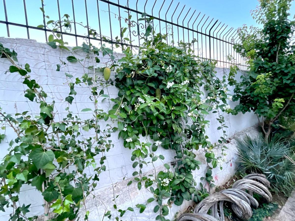 Villa Sa Torre Ibiza Bagian luar foto